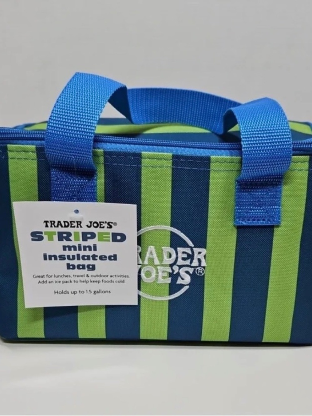 Trader Joe's Mini Insulated Lunch Bag Blue stripe